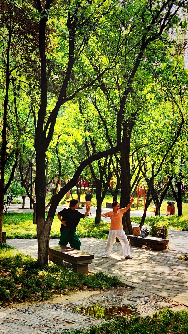 聽講西安豐慶公園錦簇芳菲，打卡過公園"山水綠叢中"才知曉。