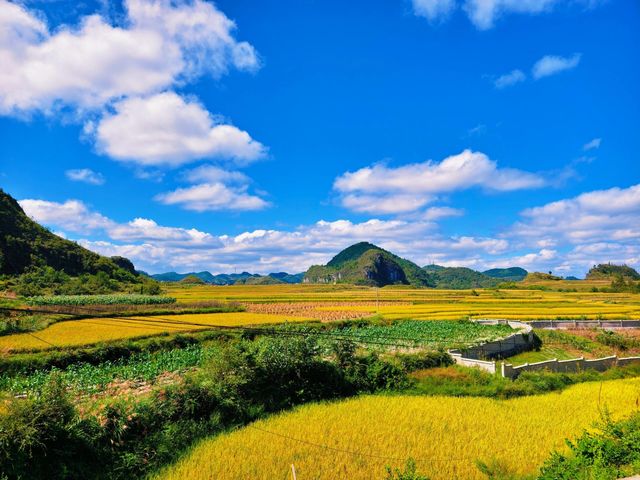 貴陽嘅海，就係稻海。洋芋國從來唔缺美景~