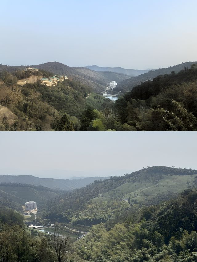 在安吉!睡進270°躺看茶山的野奢帳篷酒店。