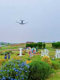成都小眾旅遊地！露營、遛娃、看飛機。
