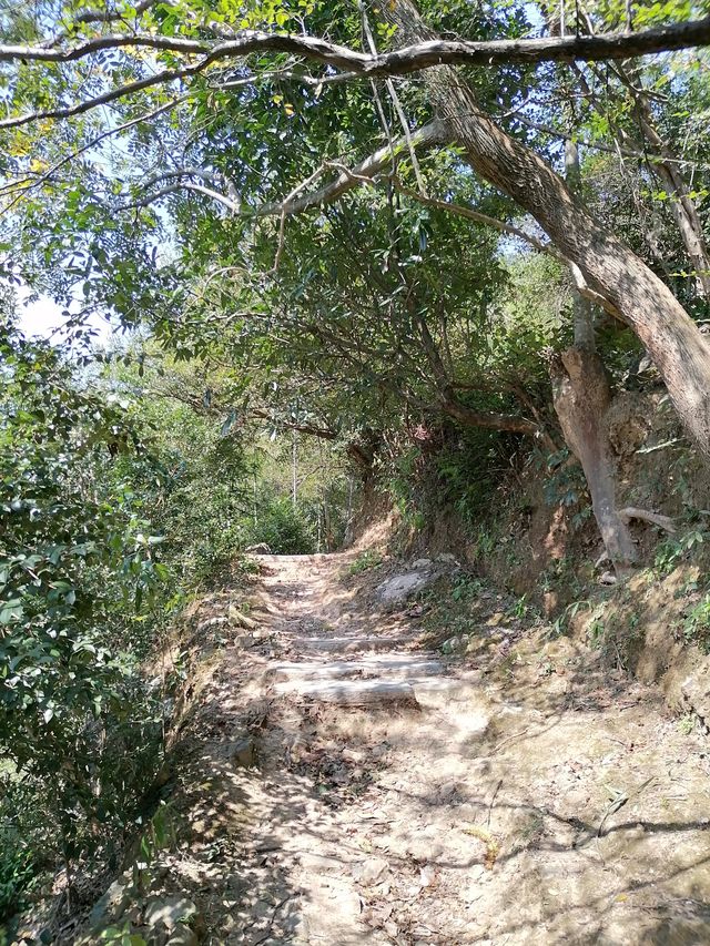 徒步榉根嶺古道丨千年古道丨國慶節避擁遊玩的好地方。