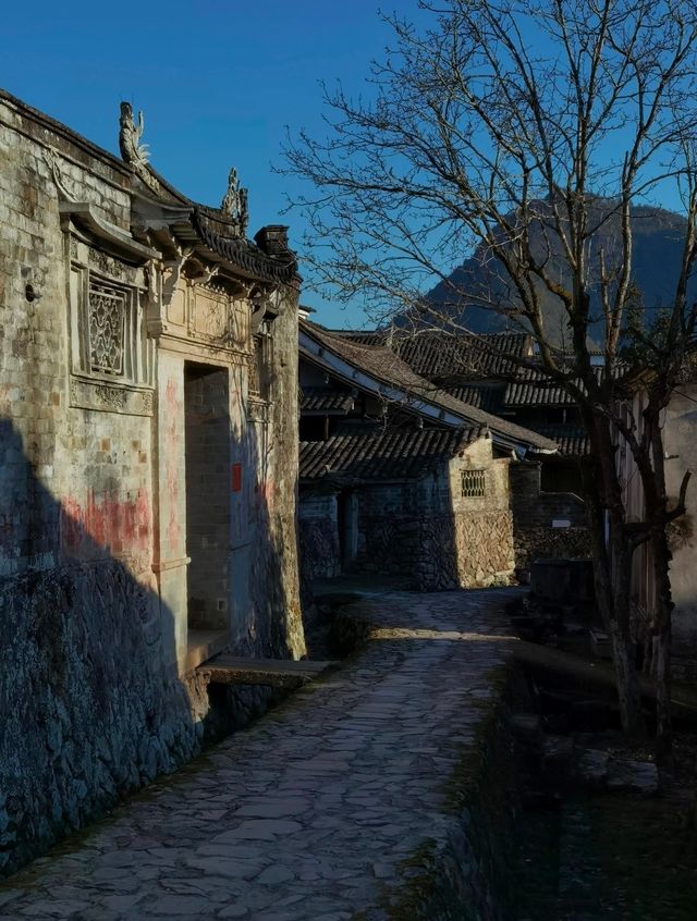 埭頭村鄉土建築，徜徉松風水月間。