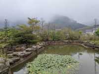 廣西容縣都峤山。