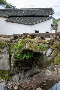 金華山下鮑村 | 世間桃花源，界外烏托邦。