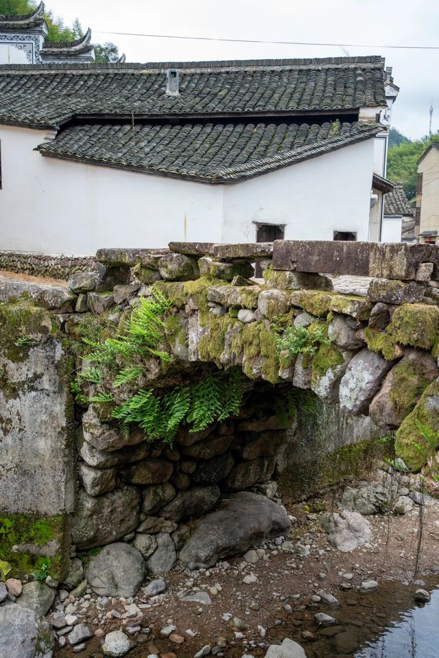 金華山下鮑村 | 世間桃花源，界外烏托邦。