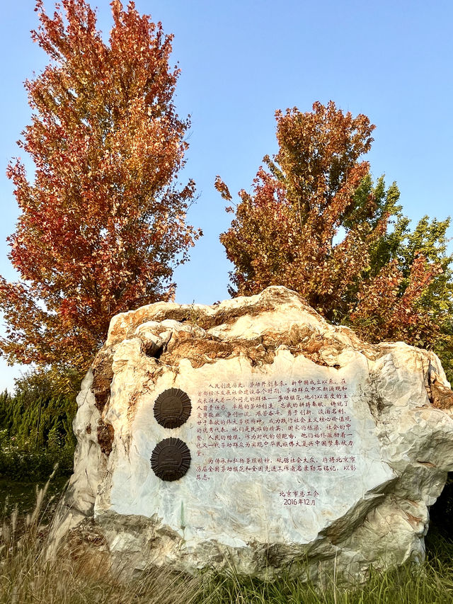 勞模牆邊上的一抹紅色 明城牆遺址公園北京。