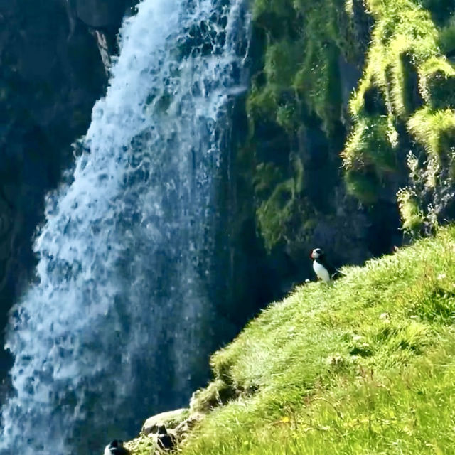  first day of the Faroe Islands