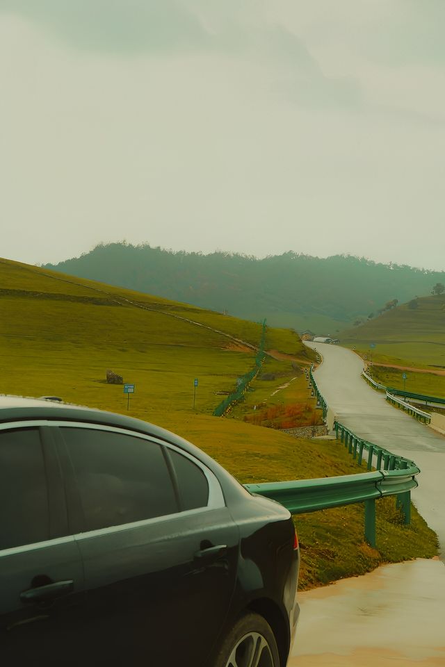 陝西關山牧場|樂趣無窮。
