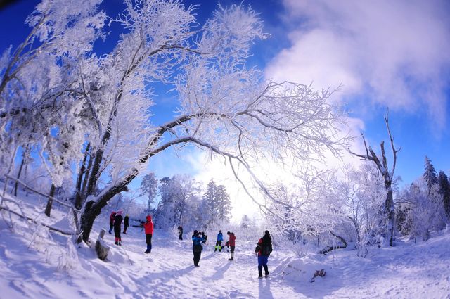 吉林市四天三夜冰雪奇緣之旅。