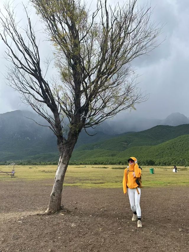 呼倫貝爾大草原。