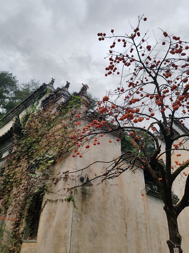 婺源篁嶺，一個美麗且富有特色的旅遊地，以下是一份遊玩攻略供您參考。