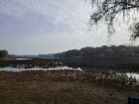 秋天裡的南海子公園。