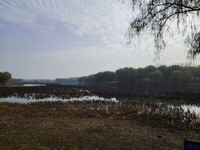 秋天裡的南海子公園。