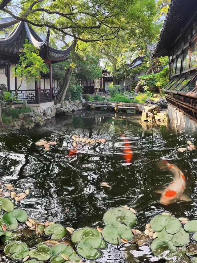 這裡獨享蘇州園林。
