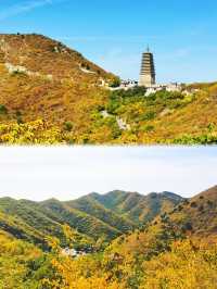 朝陽鳳凰山‖一山、三寺、兩舍利。