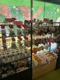 Nagoya | Visit Capybaras, but Management Says They're Gone