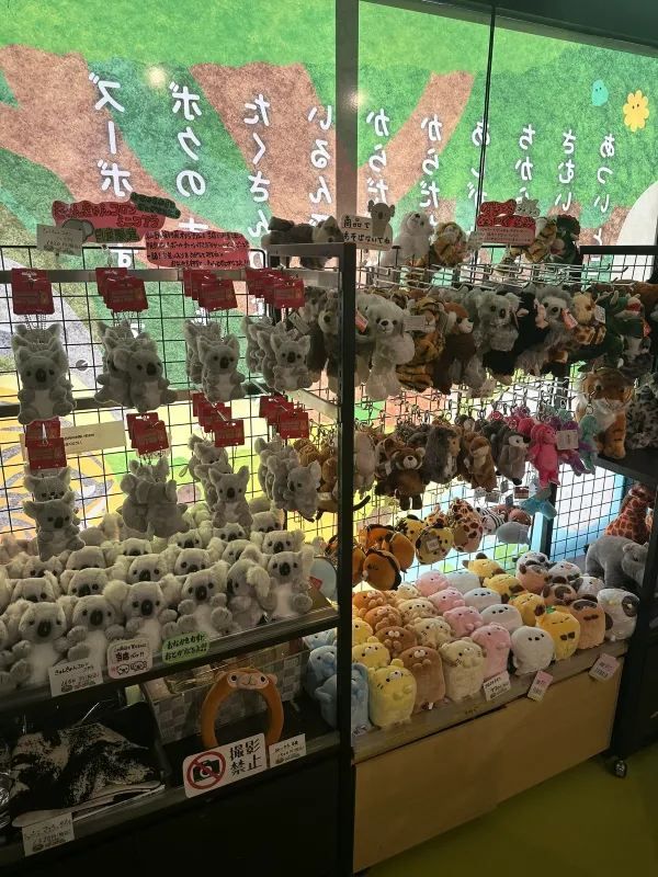 Nagoya | Visit Capybaras, but Management Says They're Gone