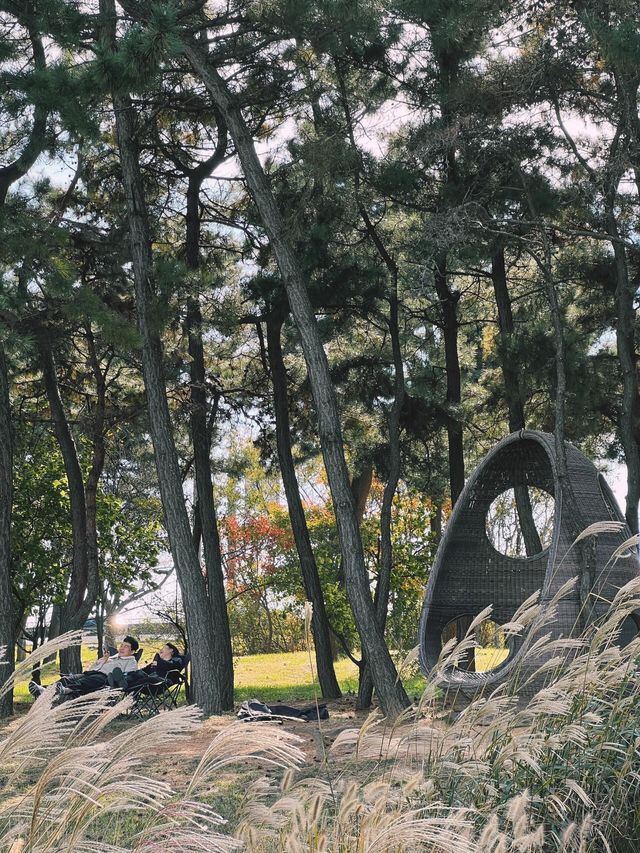 下一站仁川鳥巢酒店 nest hotel    有同行的嗎？。