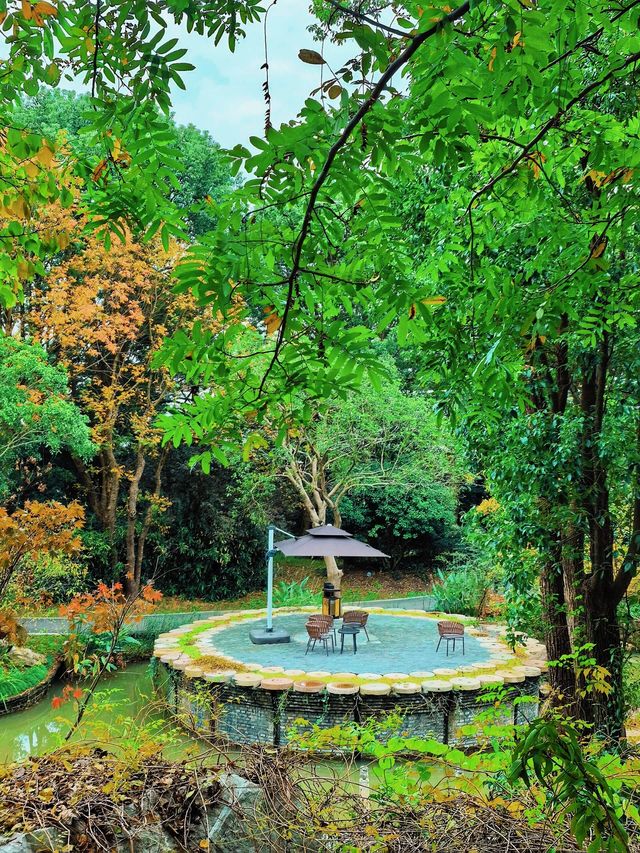 小眾且免費的絕美秋景，務必要來樸園瞧瞧！||。