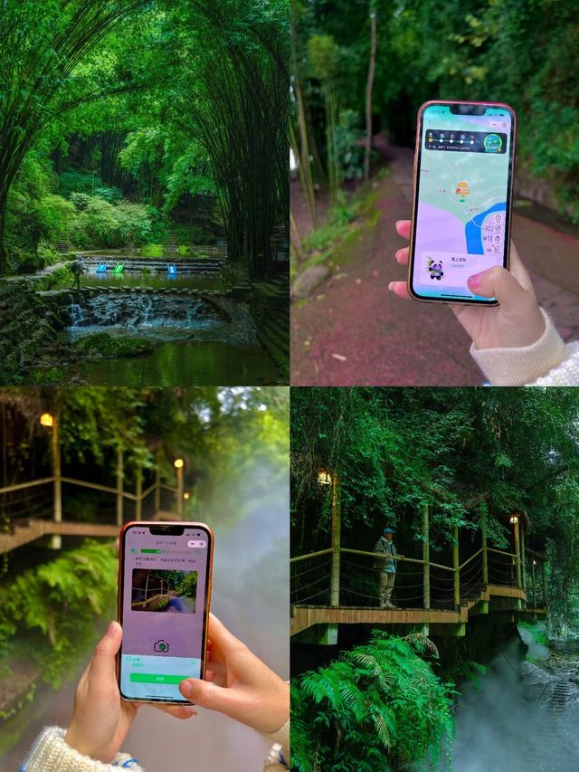 穿越竹海探索綠野仙蹤秘境之地！！。