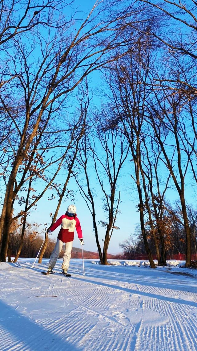 長春廟香山滑雪場難道不是一個備受歡迎的滑雪度假區嗎？