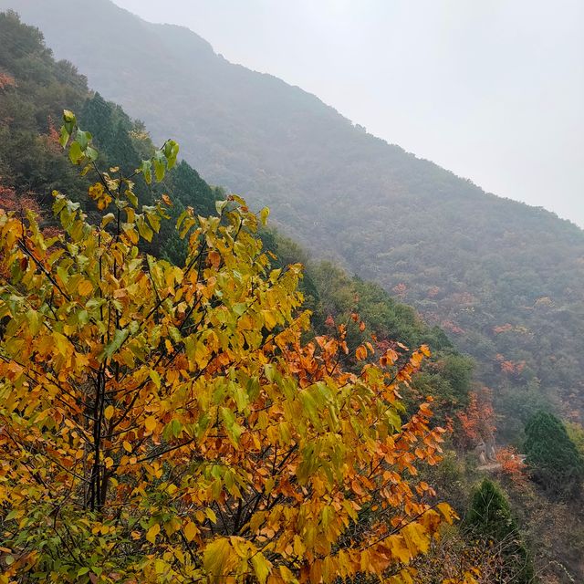 西安‖到木藤寨欣賞初冬的一抹紅葉。