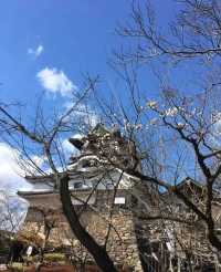Inuyama Castle: Japan's Oldest Keep