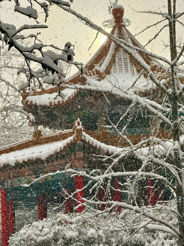 大連初雪絕美 勞動公園張張封神！