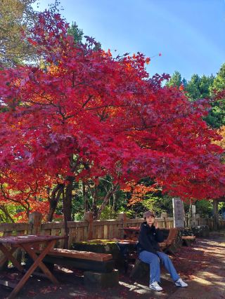 The fall leaves at Oyama Temple. 