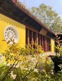 打卡、拾秋、逛集市⋯⋯在上方山下欣賞橙黃橘綠。