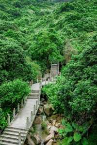 陽台山森林公園｜高處看風景的不止梧桐山！