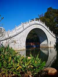 好像遇到了綠光森林！不敢相信這是荔枝公園