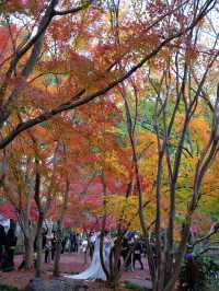 美翻了！你永遠可以相信婚紗照的取景水平！