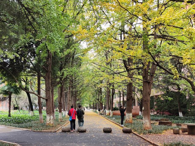 雲南貢院·藏在大學校園裡的寶藏景點