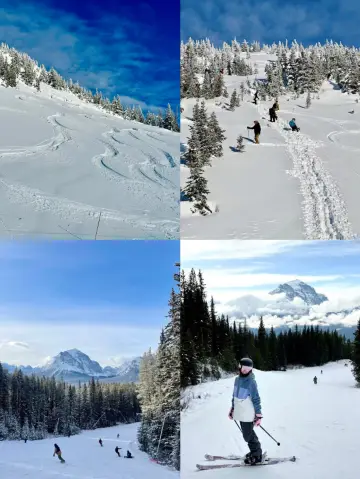 Sapporoteine Ski Area,冰雪世界的極致狂歡