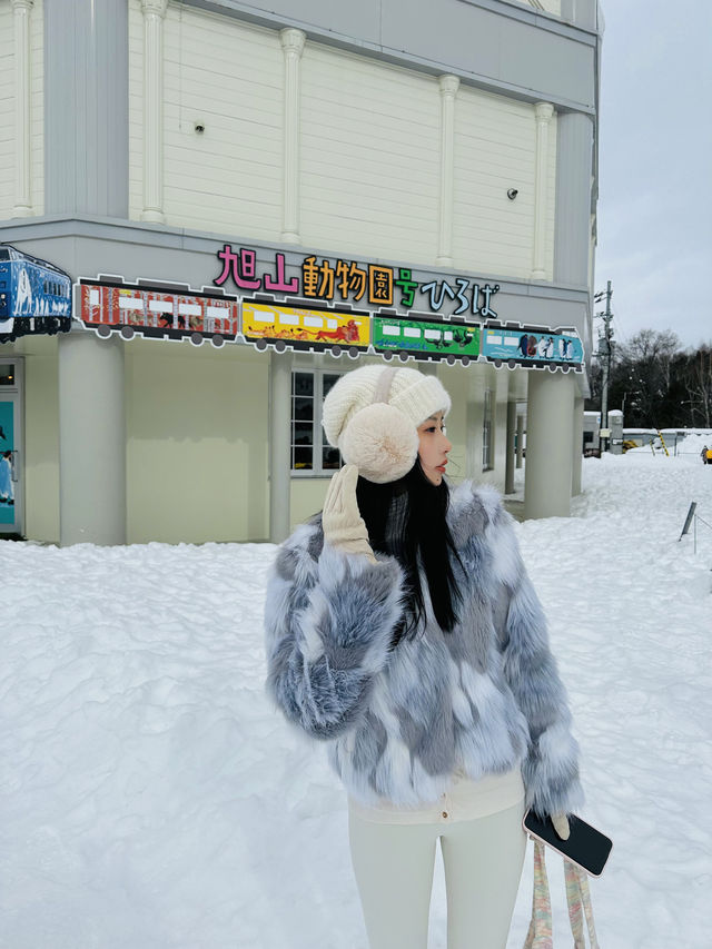 旭川動物園之旅：從札幌出發的完美計劃
