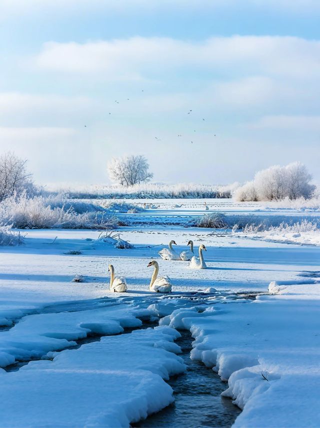 寒假帶娃看雪,威海之行必看攻略! 寒假帶娃看雪,威海之行必看攻略!