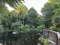 大島上的小植物園，人氣秘境