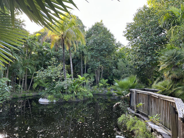 大島上的小植物園，人氣秘境