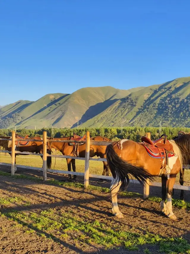 Duku Highway to Tangbula Grassland Citywalk | Super Detailed Guide