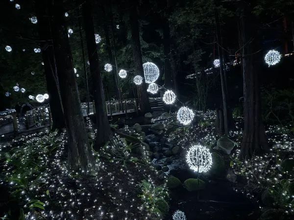 Capilano Suspension Bridge Park during Christmas Month