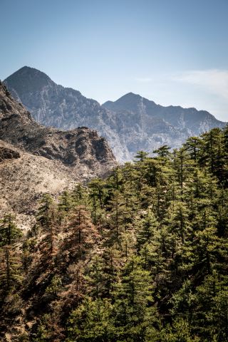 Traveling the Northwest | Yinchuan Travelogue