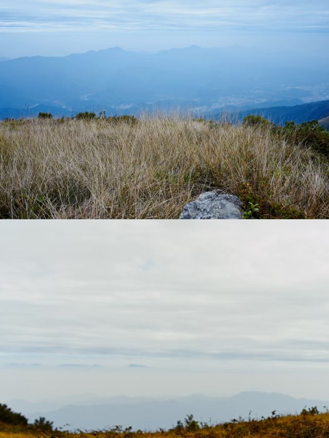 戶外行山攻略｜雲浮大雲霧山