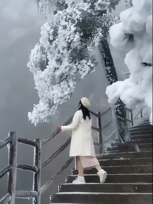 Friends in Guangdong, here is a winter wonderland for you! 