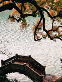 浙江寧波溪口鎮，民國風濃郁