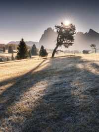 Alpe di Siusi，人間仙境等你來！
