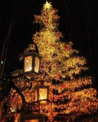 Karuizawa Highland Church Christmas Lighting Guide