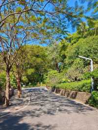 深圳｜以橋為由的大頂嶺公園，你來了嗎