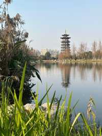 長沙洋湖濕地公園我拍的白鷺塔還可以吧？