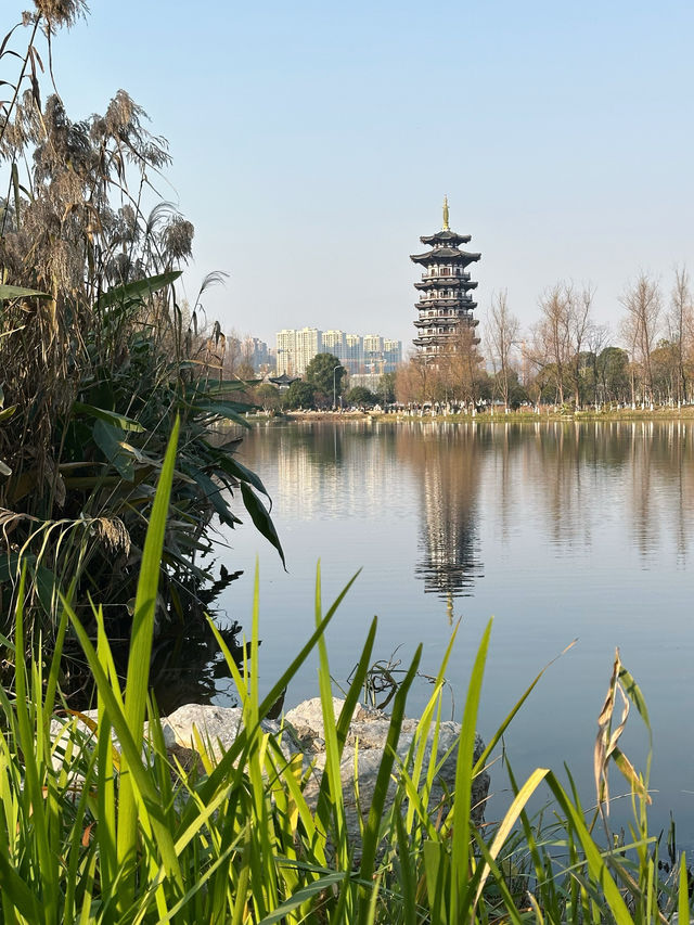 長沙洋湖濕地公園我拍的白鷺塔還可以吧？